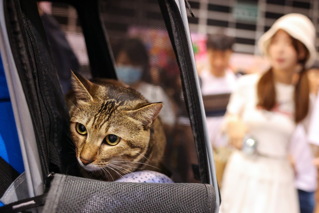 Mainland-imported pets will also be able to enjoy a reduced quarantine period if they meet certain requirements. Photo: Nora Tam