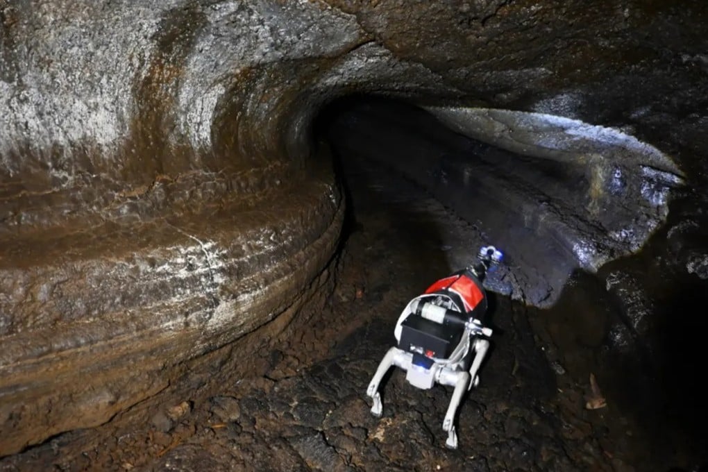 Specialised robotic dogs such as the one seen here have been tested in a cave in northeastern China in an area that simulates the lunar underground. Photo: Handout