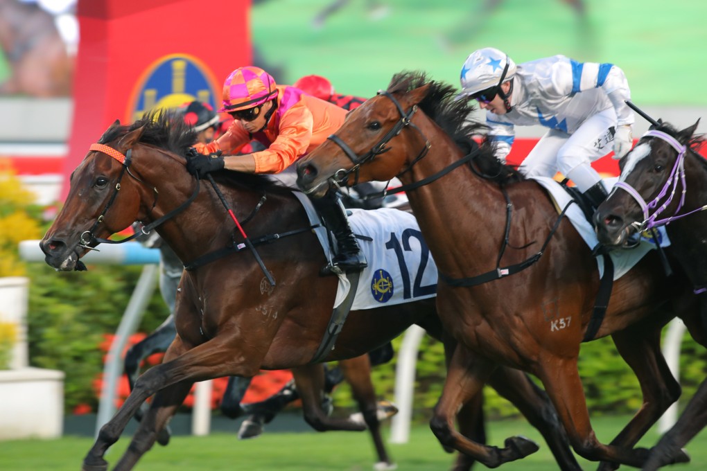 The Hong Kong Jockey Club said more than 13,000 mainlanders visited the Sha Tin Racecourse for the National Day Cup, a record Photo: Kenneth Chan.