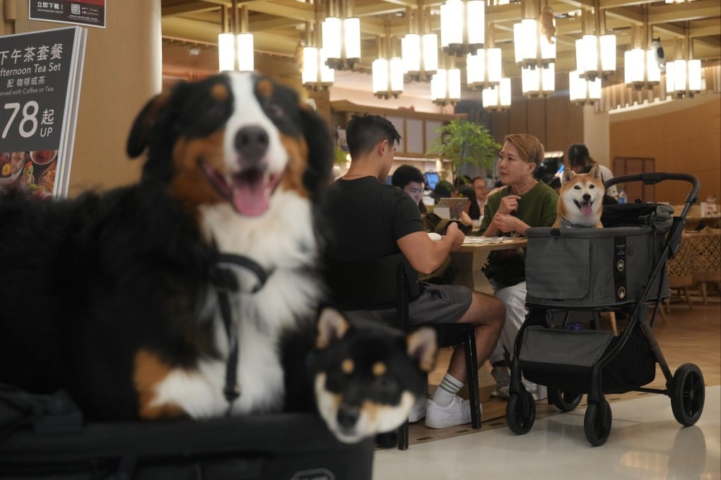 People have a meal with their dog at a restaurant in New Town Plaza in Sha Tin on September 21. Photo: Sam Tsang