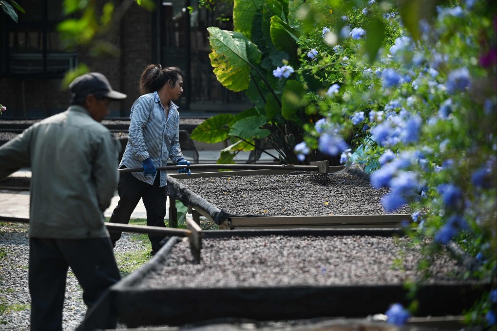 China’s southwestern province of Yunnan is known as the country’s coffee capital, and a rise in prices is benefiting growers. Photo: Xinhua