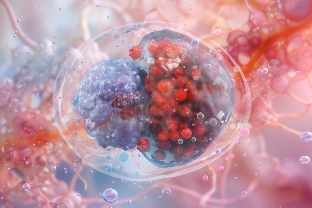 Chlamydia is caused by the bacterium Chlamydia trachomatis. It is the most common STI in Hong Kong. Photo: Shutterstock