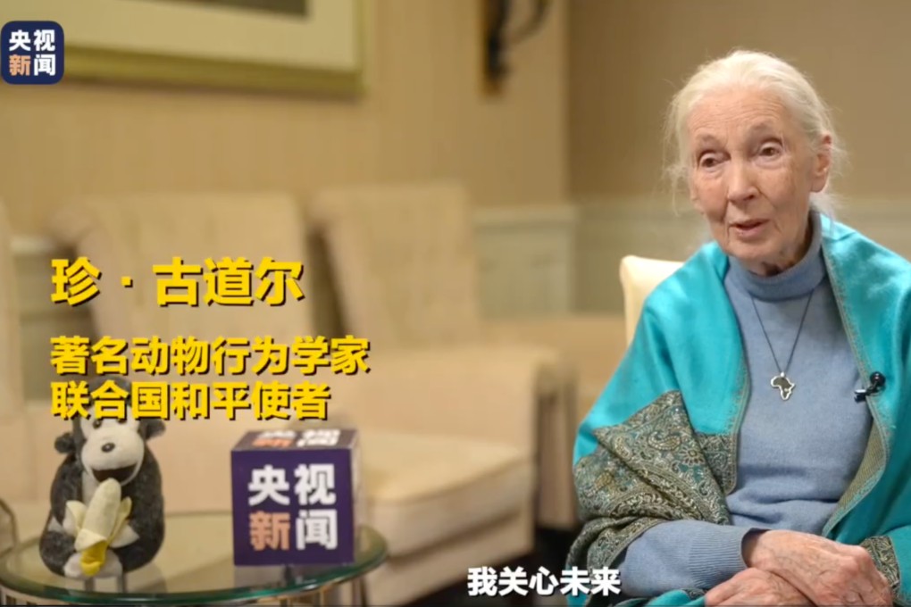Jane Goodall, who has died at the age of 91, gave an interview to China’s state broadcaster on her 17th visit to the country in 2024. Photo: CCTV