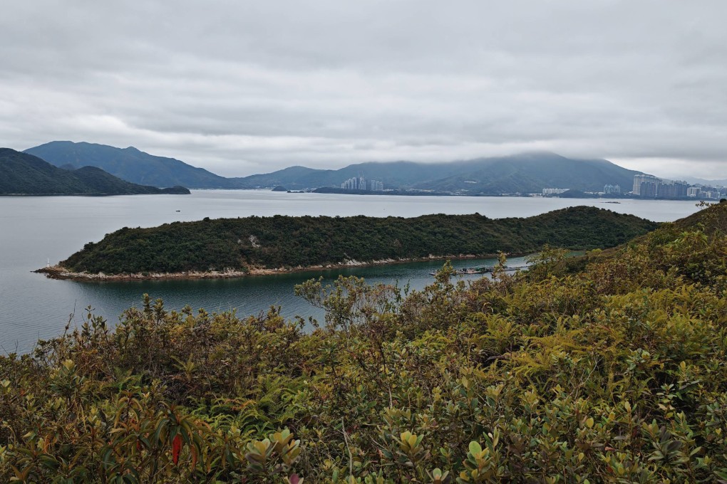 The incident took place in the waters off Lo Fu Wat. Photo: Handout
