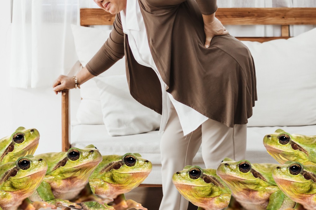 An 82-year-old Chinese woman swallowed eight live frogs based on a folk remedy for lower back pain, resulting in hospitalisation. Photo: SCMP composite/Shutterstock