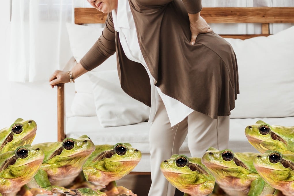 An 82-year-old Chinese woman swallowed eight live frogs based on a folk remedy for lower back pain, resulting in hospitalisation. Photo: SCMP composite/Shutterstock