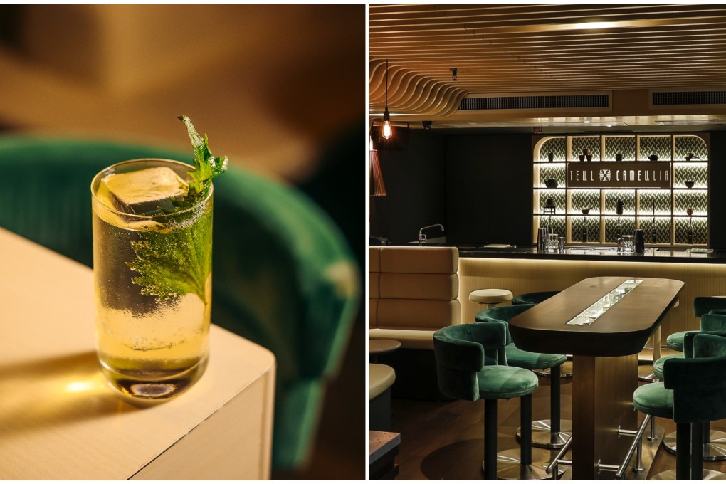 The Tall Pine cocktail at Tell Camellia, Hong Kong, is refreshing and crisp. Photo: Handout