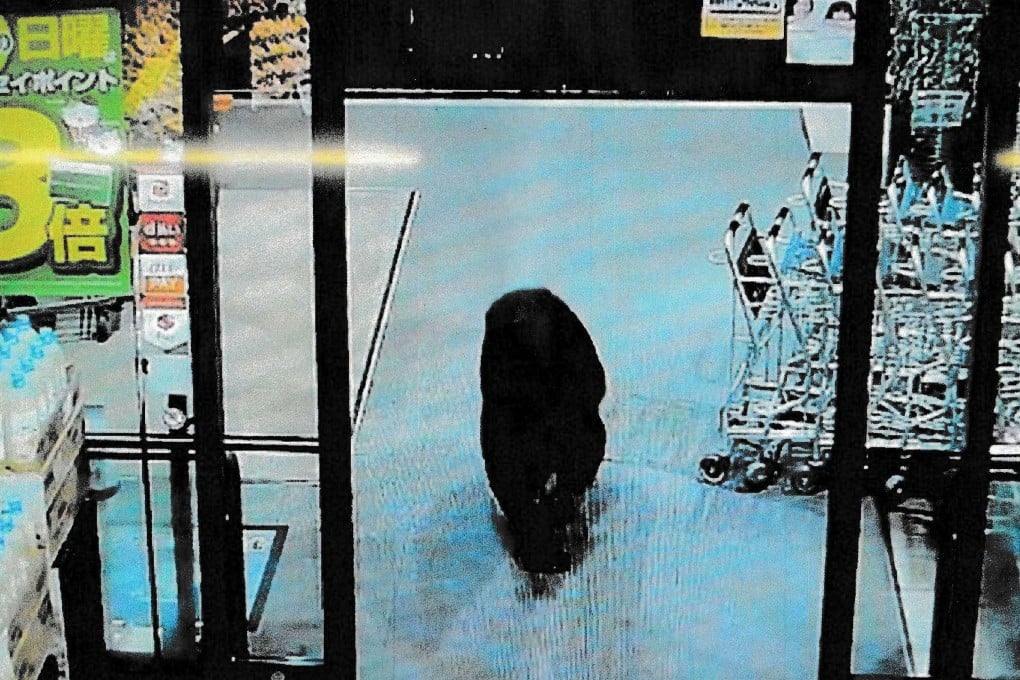 A screenshot of a CCTV camera footage shows a bear walking inside a supermarket in Numata, Gunma prefecture on Tuesday. Photo: Gunma Prefectural Police/AFP