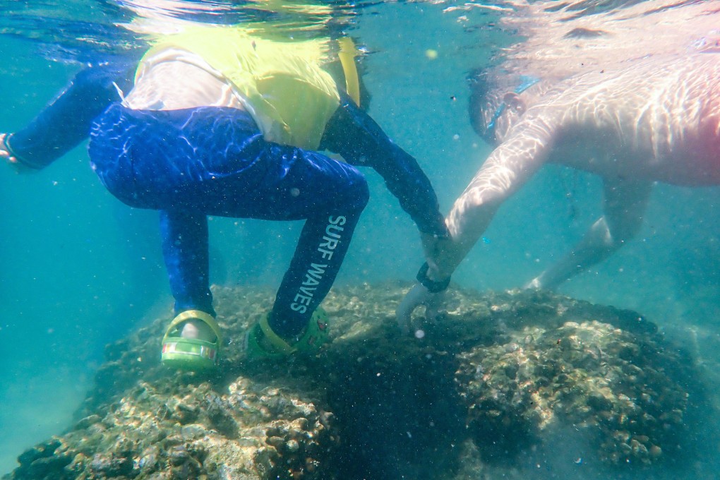 Greenpeace found that tourists trampled corals and dug coastal organisms on Sharp Island, Sai Kung, during the ‘golden week’ holiday. Photo: Handout