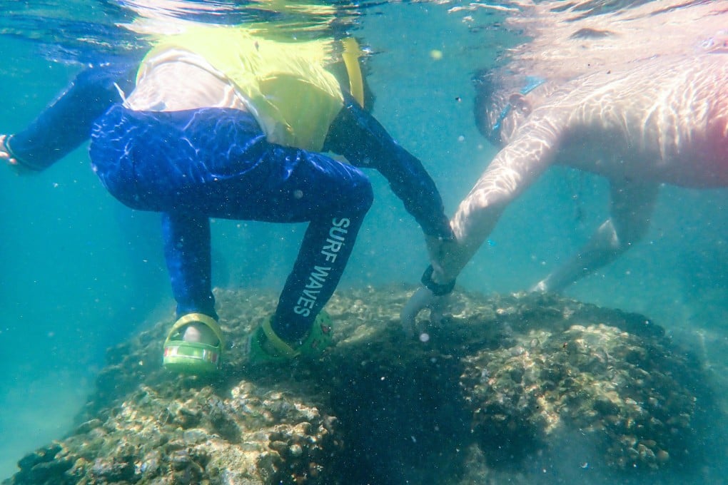 Greenpeace found that tourists trampled corals and dug coastal organisms on Sharp Island, Sai Kung, during the ‘golden week’ holiday. Photo: Handout