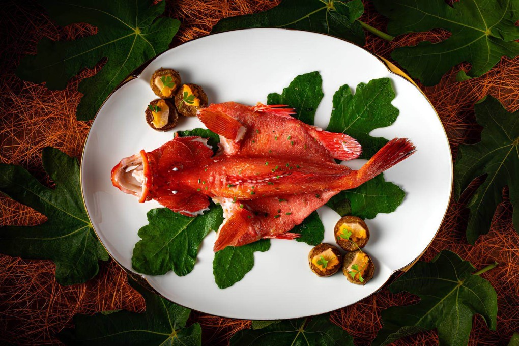 Steamed grouper with yellow fungus in fig leaf at Chef Tam’s Seasons in Wynn Palace, Macau. Photo: Chef Tam’s Seasons