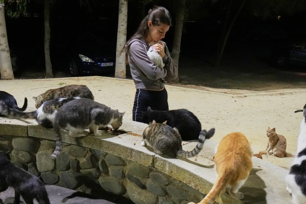 A woman holds a cat at a park in Nicosia, Cyprus, on October 6, 2025. Cyprus is grappling with soaring stray cat numbers. Photo: AP