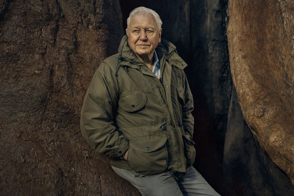 David Attenborough. Photo: BBC/Sam Barker
