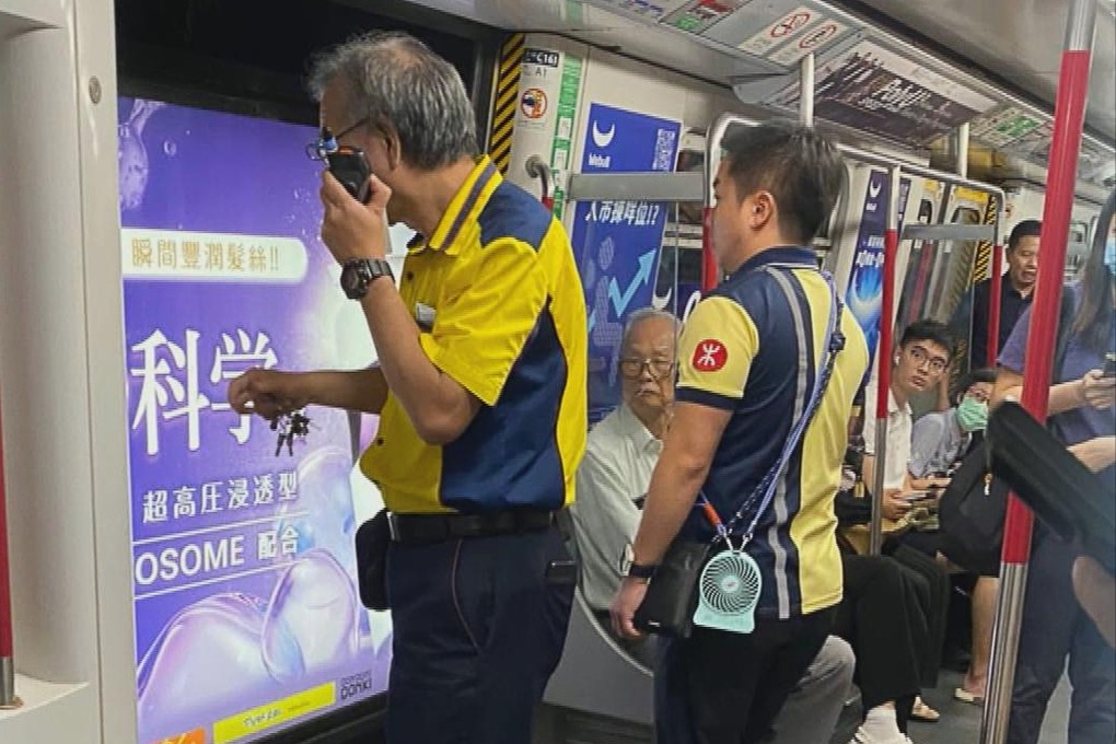Police have arrested a 16-year-old boy after he allegedly used his hand to prevent an MTR train door from closing. Photo: Handout