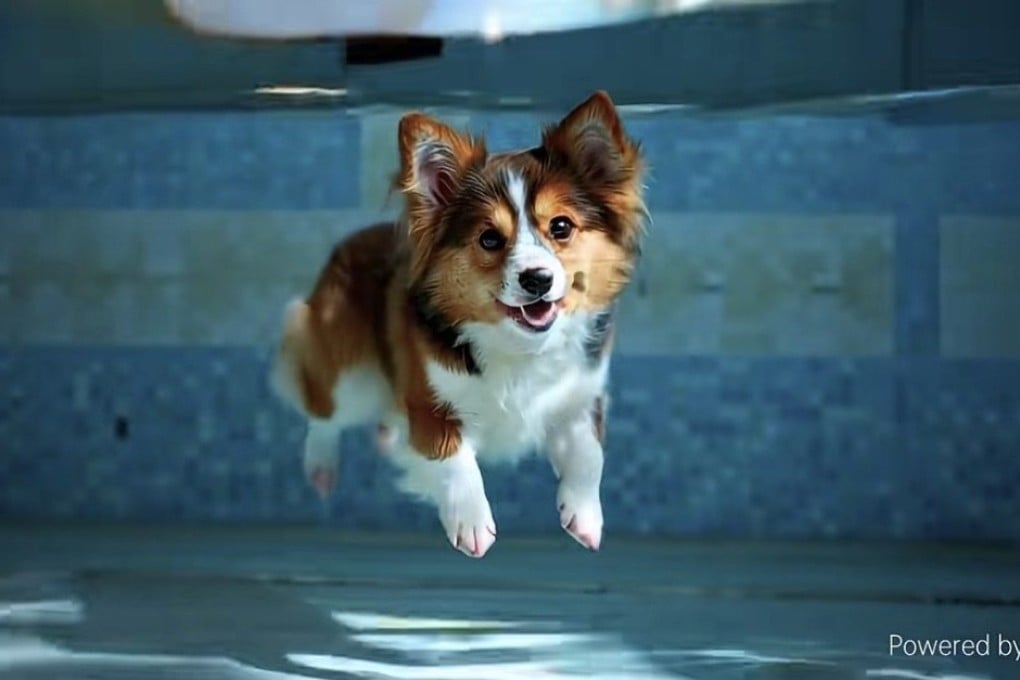 A screenshot from a demo clip of an earlier Vidu model. Photo: Handout