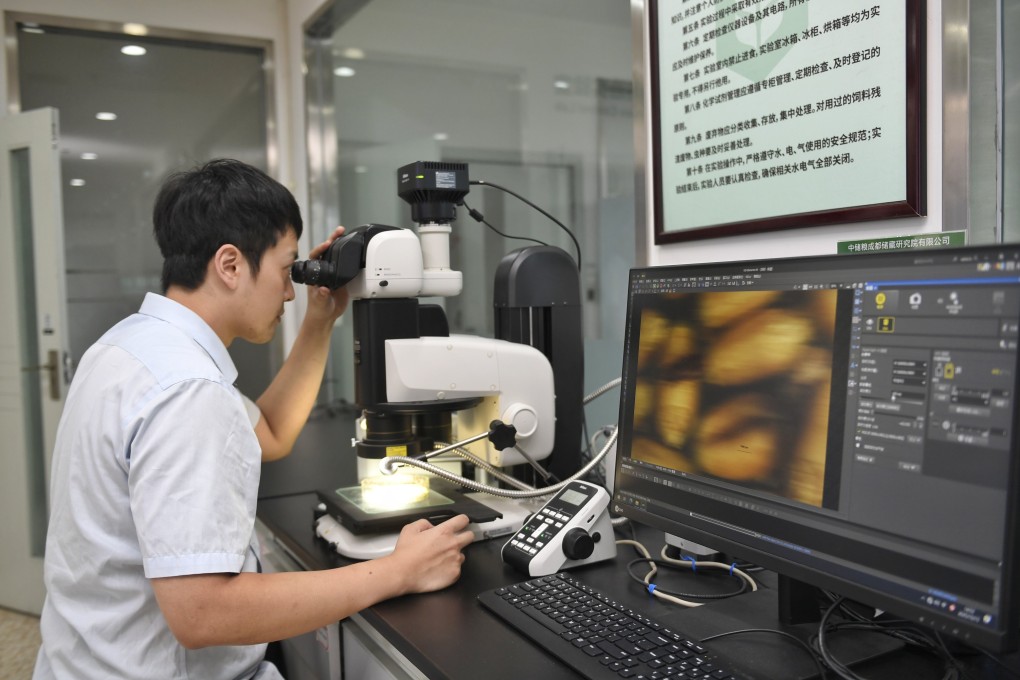 A researcher conducts pest-control experiments at a branch of Sinograin in Chengdu, Sichuan province on October 15. Photo: Xinhua