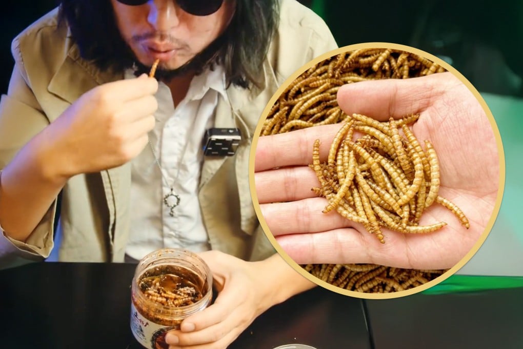 Young adults in China are sharing frugality hacks online, including the eating of bread worms as a low-cost, protein-rich food. Photo: SCMP composite/RedNote