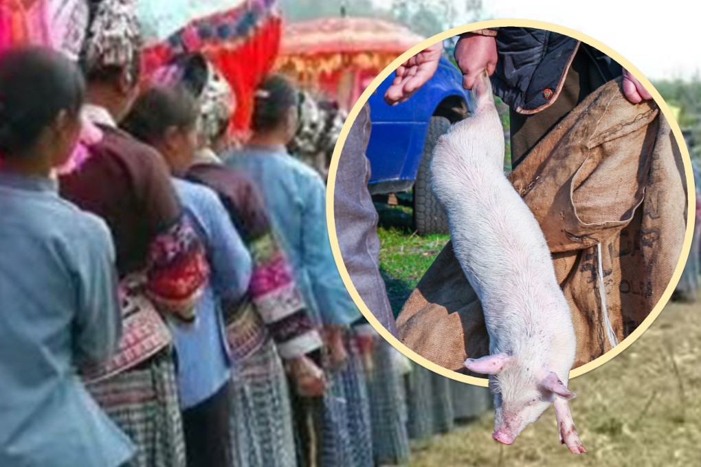 China’s Bouyei ethnic group has a funeral custom called “stealing the pig”, which requires the eldest son-in-law to untie a pig hung above the coffin. Photo: SCMP composite/Shutterstock/Sohu