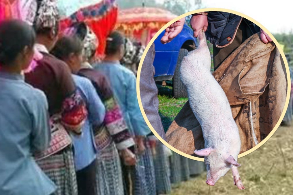 China’s Bouyei ethnic group has a funeral custom called “stealing the pig”, which requires the eldest son-in-law to untie a pig hung above the coffin. Photo: SCMP composite/Shutterstock/Sohu