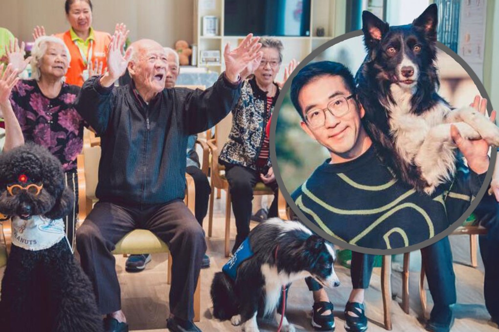 A man who launched the Paw for Heal programme in China in 2012, now has more than 300 service dogs which help children with autism, people with depression and the elderly. Photo: SCMP composite/health.ycwb.com