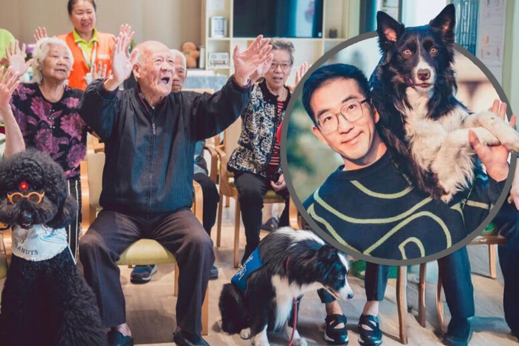 A man who launched the Paw for Heal programme in China in 2012, now has more than 300 service dogs which help children with autism, people with depression and the elderly. Photo: SCMP composite/health.ycwb.com