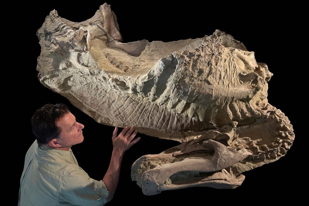 Paleontologist Paul Sereno of the University of Chicago examines the fossilised “mummy” of the duck-billed dinosaur Edmontosaurus at the Fossil Lab in Chicago, Illinois. Photo: Tyler Keillor / Fossil Lab / Handout via Reuters