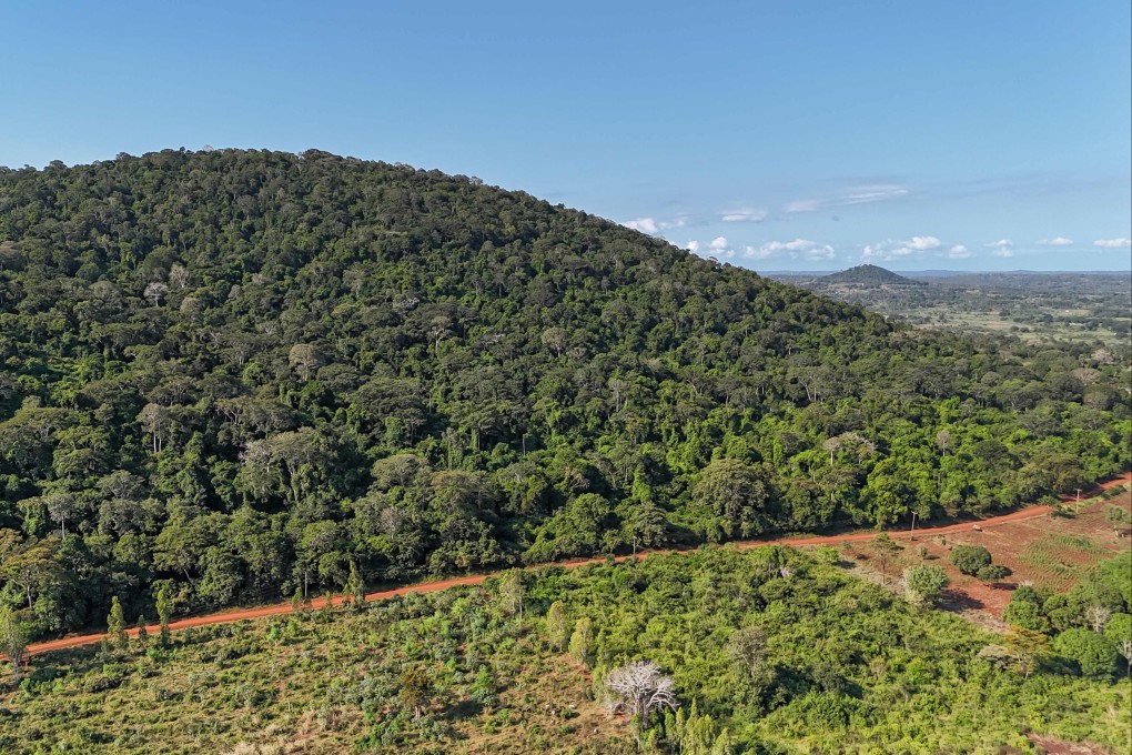 An aerial view of a section of the Mrima Hill forest in Kenya. Photo: AFP