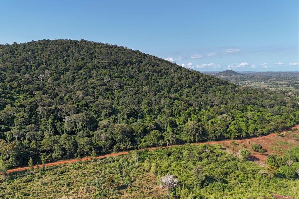 An aerial view of a section of the Mrima Hill forest in Kenya. Photo: AFP