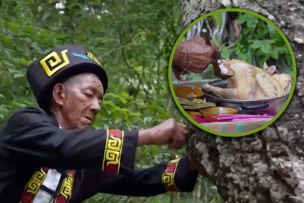 China’s Gelao ethnic group performs a tree-feeding ceremony to give thanks and pray for good harvests, making incisions in ancient trees and filling them with rice before offering prayers. Photo: gxnews.com.cn