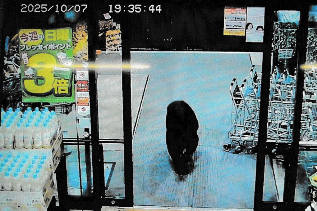 In an unusual case on October 7, a bear wandered into a grocery store in Numata, Gunma prefecture, injuring two elderly shoppers. Photo: AFP