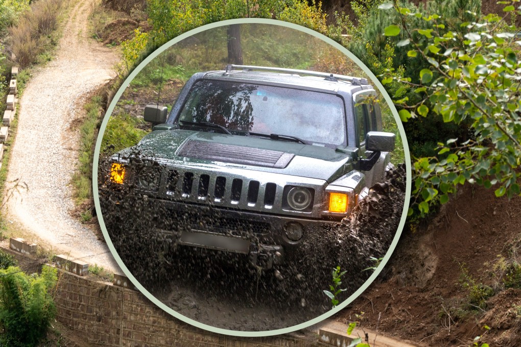 A Chinese man conspired with his friends to kill his mother by running her over with a car so they could pocket an insurance payout. Photo: Shutterstock