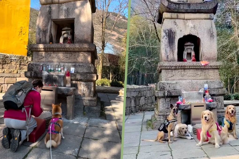 Growing numbers of young pet owners in China are visiting a unique mountain pagoda to bless and bring good health to their dogs. Photo: RedNote