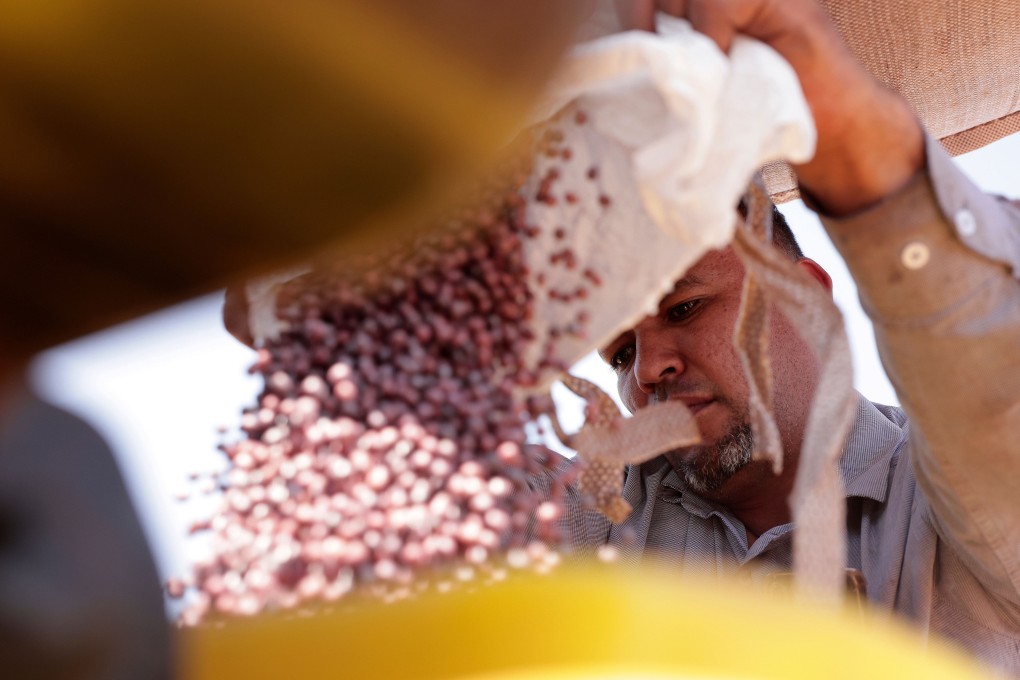 Brazil sends roughly three-quarters of its soybean exports to China, worth nearly US$44 billion last year. Photo: AP