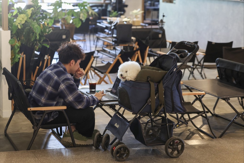 A man parks himself in a cafe with his dog in Kai Tak on January 3. Photo: Edmond So