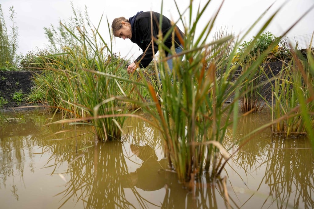 Dr Nadine Mitschunas is leading research with a project that tests new crops. Photo: AFP