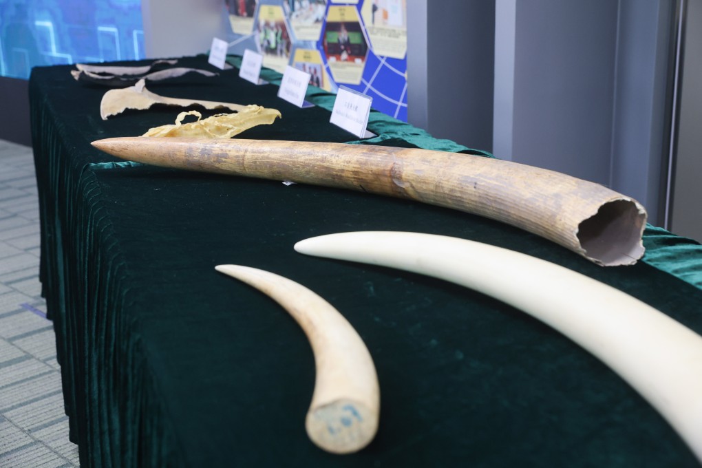 Shark fins and ivory tusks displayed during a press conference at customs’ headquarters in North Point. Photo: Edmond So