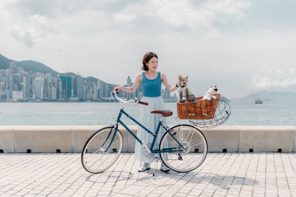 WestK Pet Club offers pet-friendly bicycle rentals, among other things. Photo: courtesy West Kowloon Cultural District