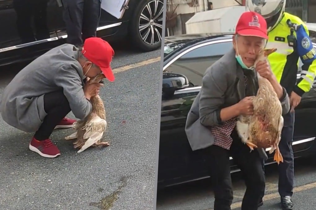 An elderly Chinese woman was seen grieving for her pet duck, which was killed by a car in a road accident. Photo: SCMP composite/Douyin