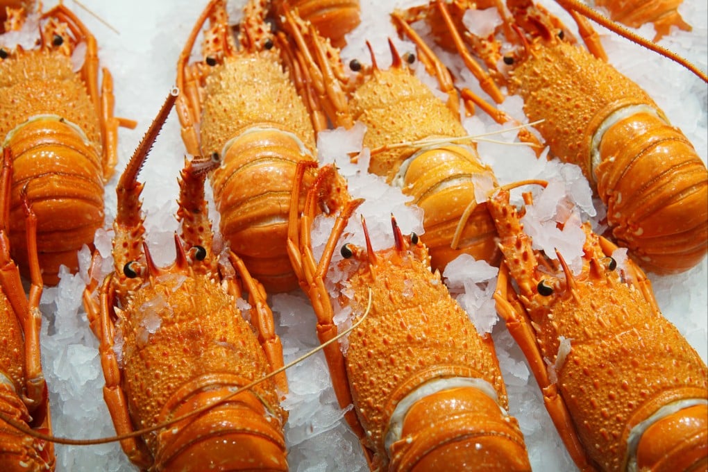 China is the world’s largest importer and consumer of lobsters, but US fishers are missing out on Chinese sales amid the trade war. Photo: Shutterstock