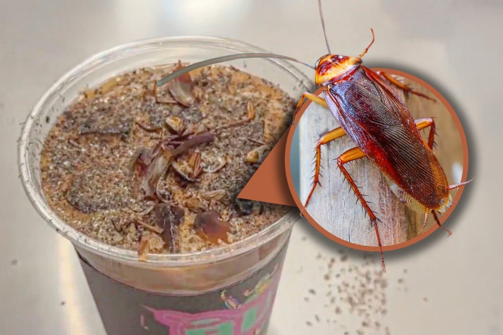 An insect museum in China has introduced a unique coffee brew made from cockroach powder and dried yellow mealworms. Photo: SCMP composite/Shutterstock/RedNote