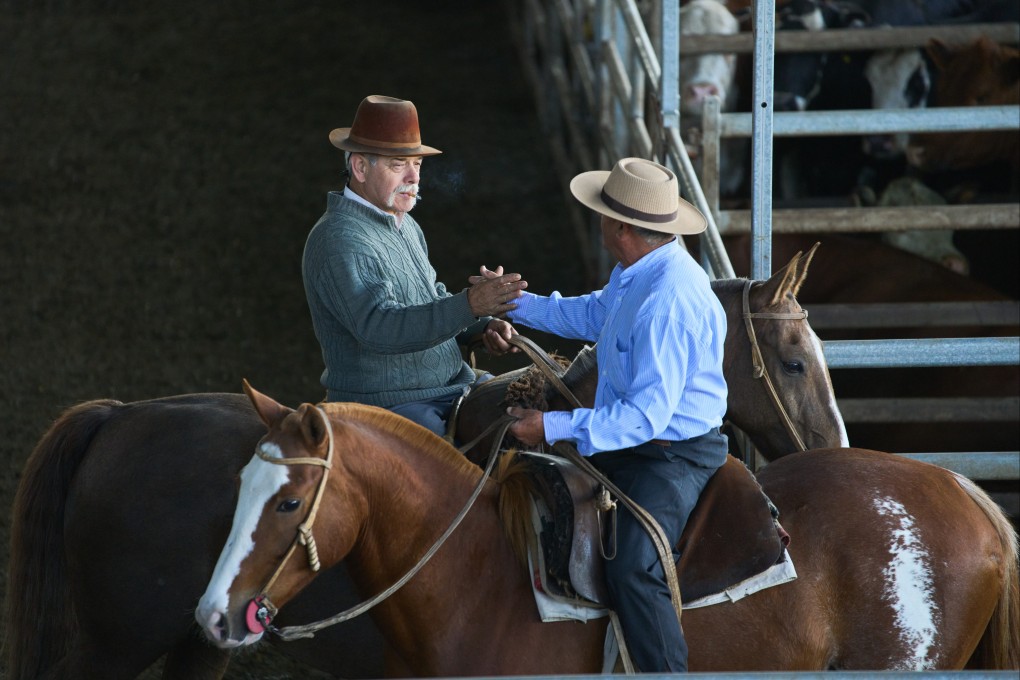 Handlers shake hands at the livestock market in Canuelas, Argentina’s main cattle trading hub, in October. Photo: AP