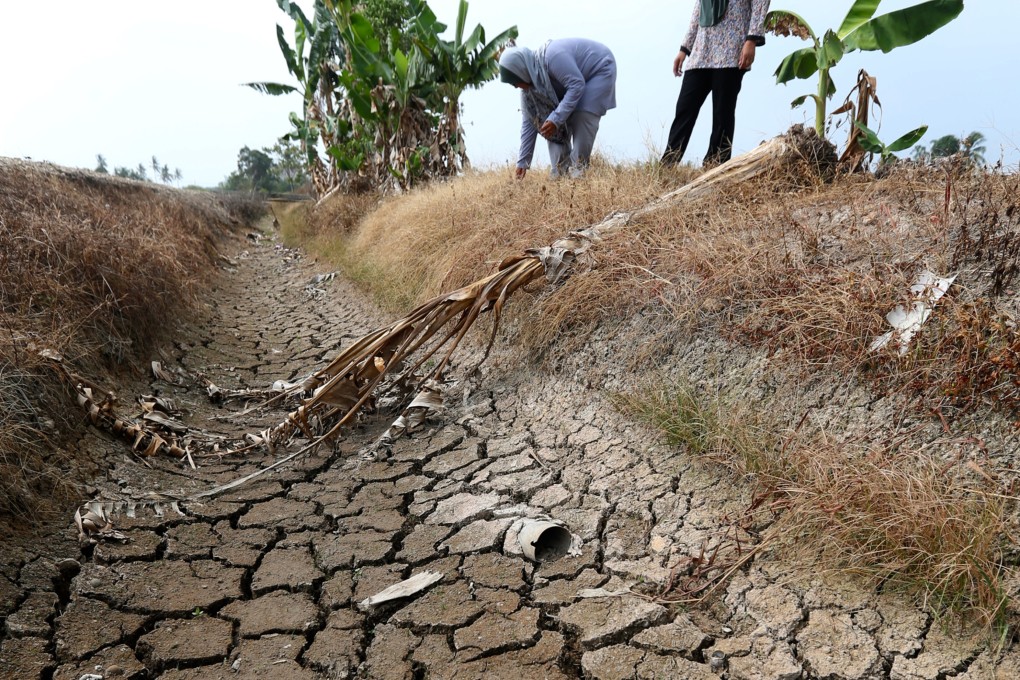 Farmers inspect a parched field in Johor, Malaysia’s most drought-prone state, in 2019. Photo: Shutterstock