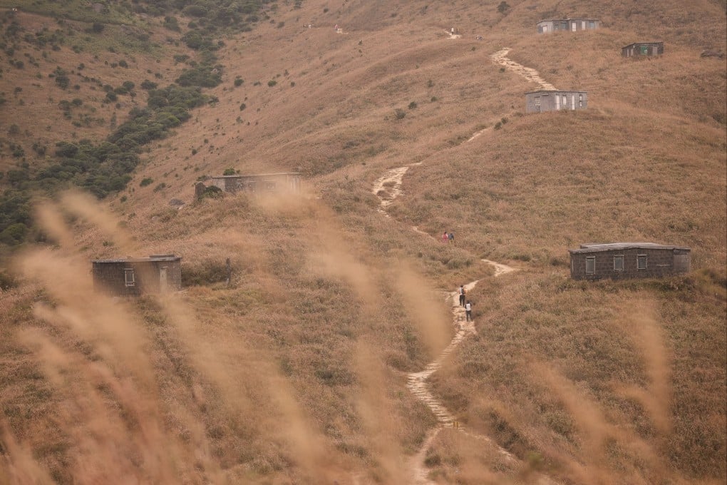 Hikers walk along the trail on Lantau’s Sunset Peak amid a sea of silvergrass in 2024. Photo: Elson Li