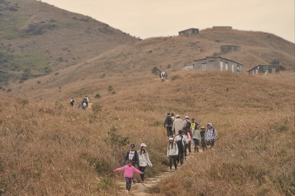 Sunset Peak has become a popular seasonal sightseeing spot thanks to its Chinese silvergrass. Photo: Elson Li
