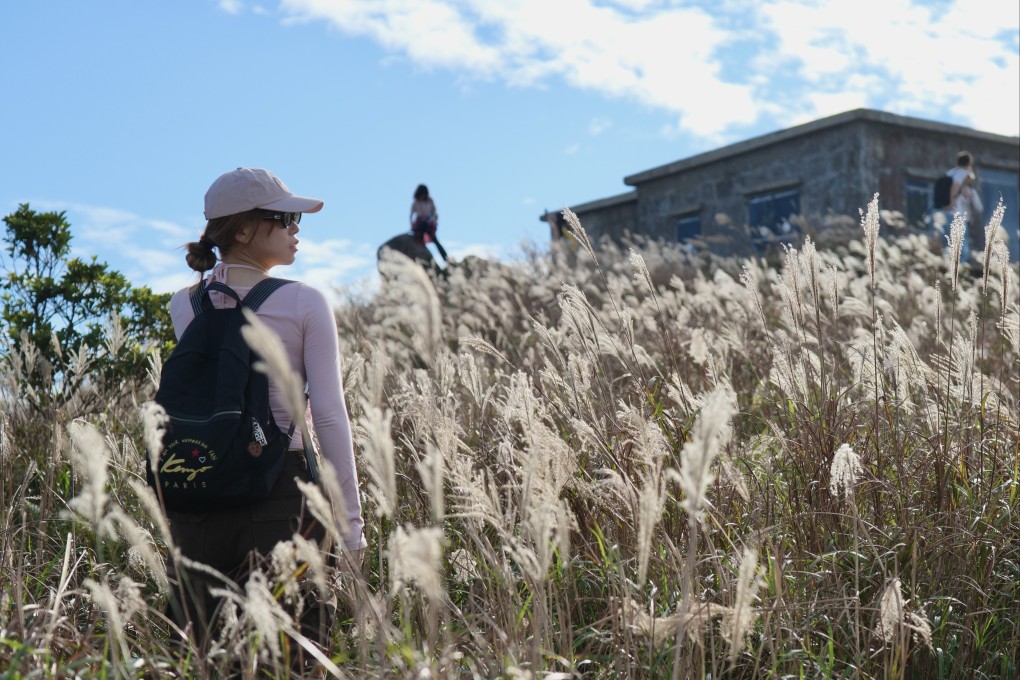 The silver grass and buildings on Sunset Peak attract tourists for scenic shots. Photo: Karma Lo
