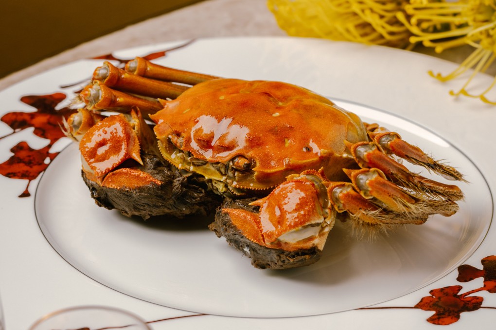 Steamed hairy crab at Ying Jee Club. The two-Michelin-star Hong Kong restaurant’s head chef, Cheung Kin-ming, is among those who help us understand the differences between female and male hairy crabs, and which might be best for first-timers. Photo: Ying Jee Club