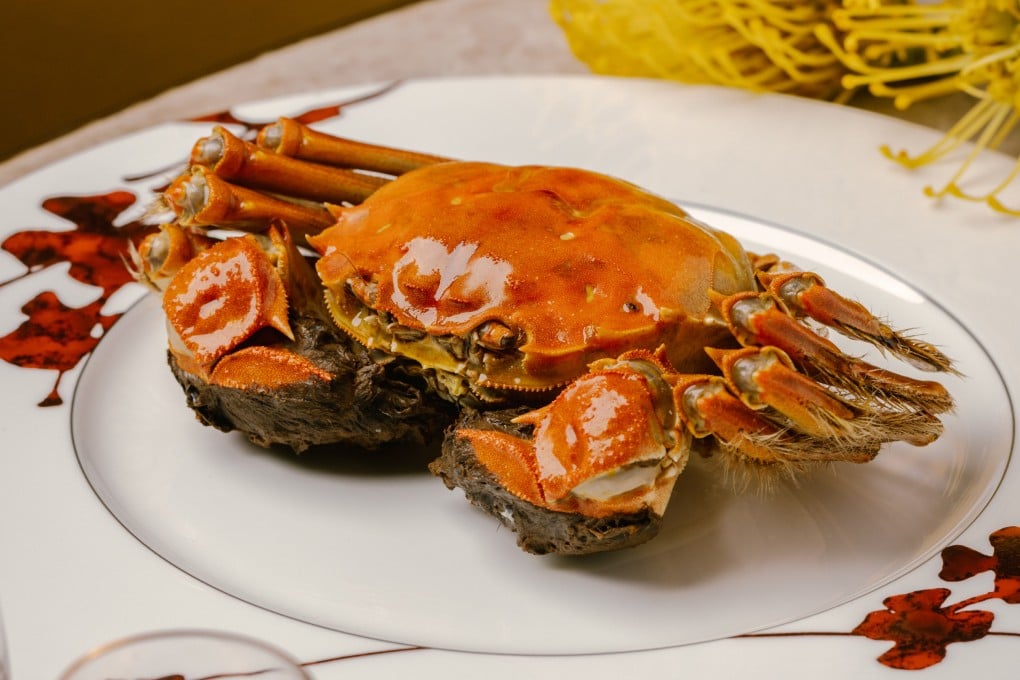 Steamed hairy crab at Ying Jee Club. The two-Michelin-star Hong Kong restaurant’s head chef, Cheung Kin-ming, is among those who help us understand the differences between female and male hairy crabs, and which might be best for first-timers. Photo: Ying Jee Club