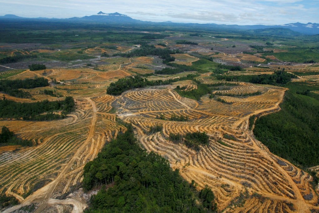 An aerial view of a cleared forest area under development for palm oil plantations in Kapuas Hulu district of Indonesia’s West Kalimantan province. Photo: Reuters