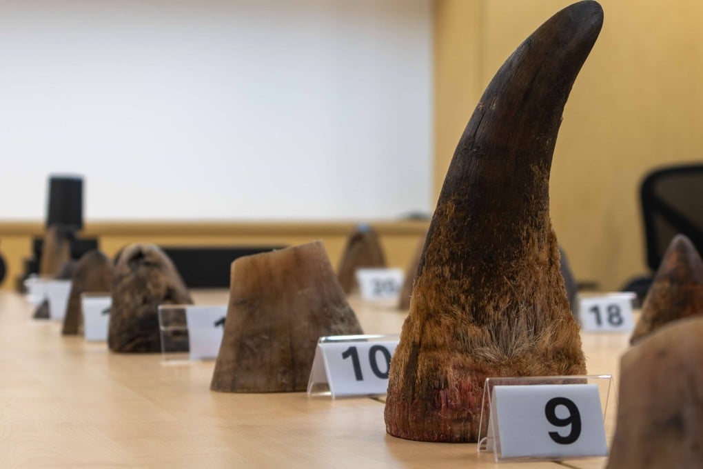 The 20 pieces of rhinoceros horns weigh 35.7kg. Photo: National Parks Board of Singapore