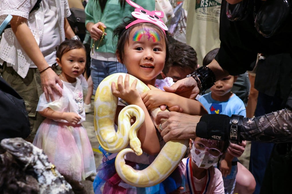 Snakes grab the attention of young visitors during the Premium Pet Supplies Expo 2025 at the Hong Kong Convention and Exhibition Centre on June 7, 2025. How’s your luck in the Year of the Snake’s 10th month? Feng shui master Andrew Kwan gives his predictions for all 12 Chinese zodiac animal signs. Photo: Nora Tam